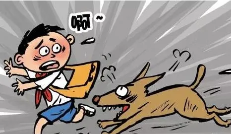 新动物防疫法出台：遛狗不拴绳，属于违法行为！