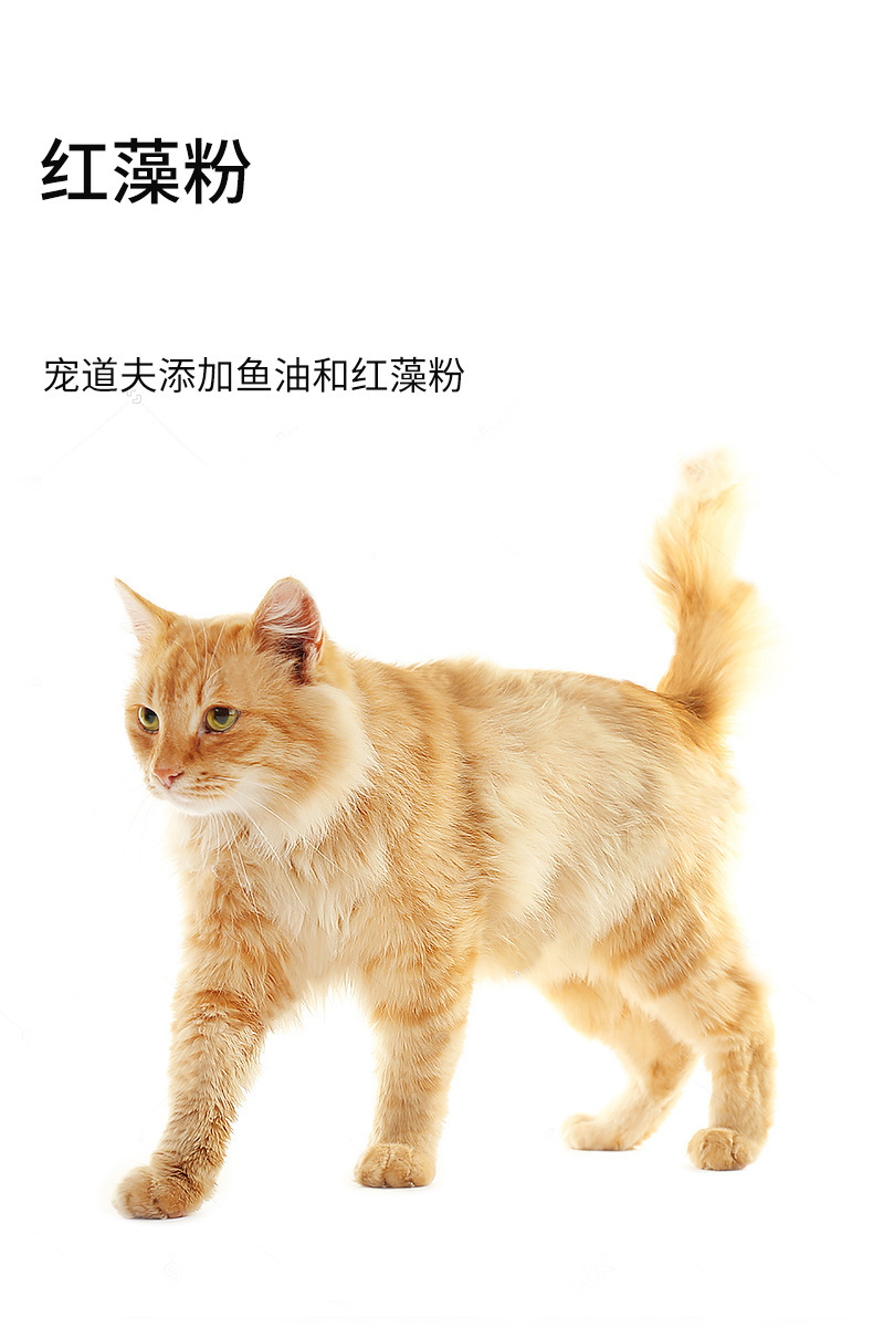 宠道夫猫粮成猫专用营养增肥发腮英短蓝猫布偶美短通用型粮4斤2kg