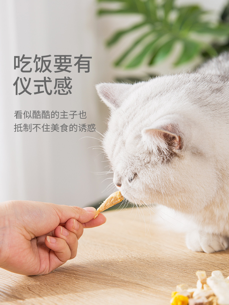 猫零食大礼包猫咪鸡肉鹌鹑冻干幼猫营养增肥小鱼干狗狗冻干肉500g