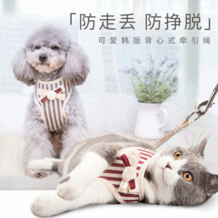 韩版透气宠物牵引绳工型胸背带泰迪狗绳加菲中小型犬猫咪小狗用品