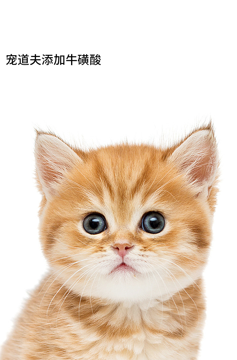 宠道夫幼猫粮2kg小奶猫英短蓝猫营养增肥发腮专用1-4-12月奶糕4斤
