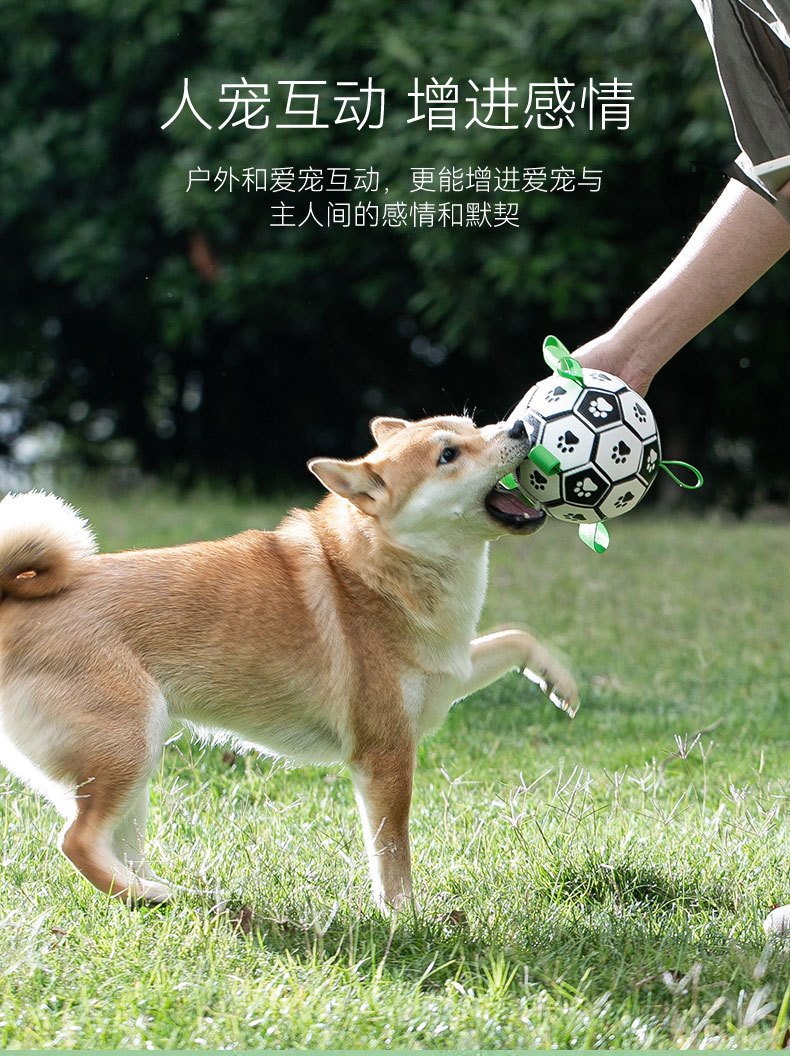狗狗训练互动足球玩具边牧柯基橡胶球类磨牙耐咬小大型犬宠物用品